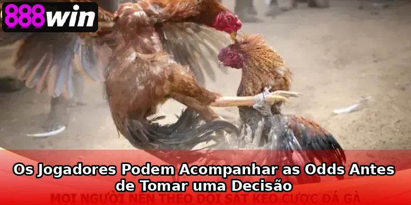 Os Jogadores Podem Acompanhar as Odds Antes de Tomar uma Decisão