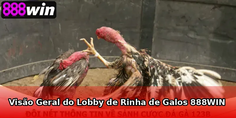 Visão Geral do Lobby de Rinha de Galos 888WIN